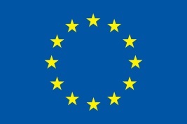 Ec Flag